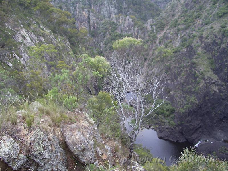 Gorge, Dangar Falls IMGP0726.JPG